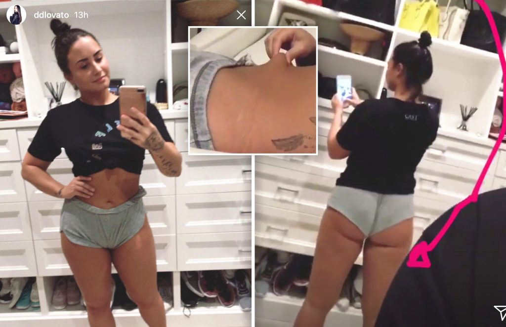 'I still love myself' Demi Lovato displays 'extra fat' and 'cellulite' in revealing body-positive posts on Instagram
