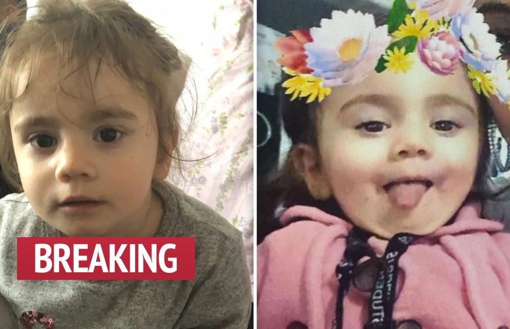 Toddler who was inside STOLEN Audi A5 car in Newham found 'safe and well' by Metropolitan Police officers – 'what fantastic news'